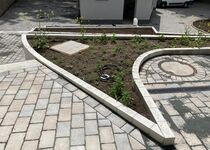 WFB - BV Dortmund Zoo