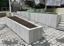 WFB - BV Dortmund Zoo